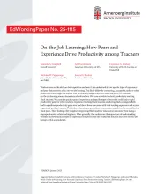 On-the-Job Learning: How Peers and Experience Drive Productivity among Teachers